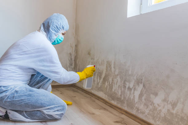 Bathroom Mold Removal assessment in Elizabethville bathroom