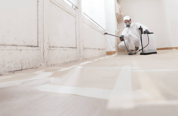 Black mold remediation team in Elizabethville